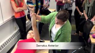 Manual Muscle Test for Serratus Anterior [upl. by Rhtaeh]