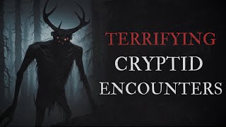 20 Scary Cryptid Encounter Horror Stories [upl. by Robby]