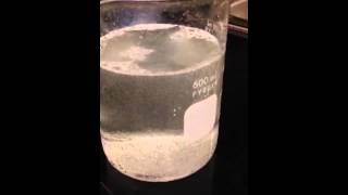 Scientific Method Dissolving Antiacid Tablets in Water [upl. by Mixam]