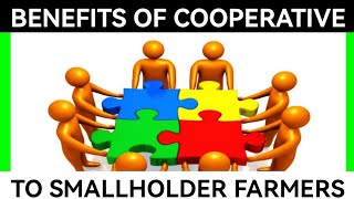 The Importance And Benefits Of Farmers Cooperatives In Agriculture [upl. by Joselow757]