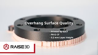 Raise3D E2CF Print Result  Overhang Surface Quality [upl. by Glenna292]