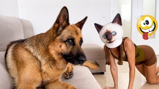 Trending Funny Animals 2024🥰Funniest Dogs and Cats😹🐶 2024 part7 [upl. by Erdnaxela]