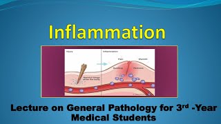 Pathology Inflammation 2 Part 2 [upl. by Alema]