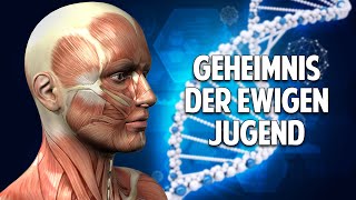 Das Geheimnis ewiger Jugend 7 einfache Tipps zum Jungbleiben  Prof Dr Sven Voelpel [upl. by Bertsche]