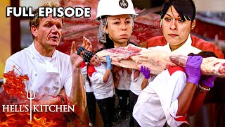 Hells Kitchen Season 5  Ep 3  Butchery Basics Turn Stomachs In Steak Challenge  Full Episode [upl. by Rebmyt937]