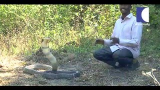 King Cobra Attack SNAKE MASTER 15032016 EP 134 Promo [upl. by Yessydo]