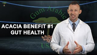 GUT HEALTH  Benefits of Acacia Gum Arabic [upl. by Ivan]