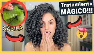 🤩Tratamiento de SÁBILA ALOE VERA🌵 MUY FÁCIL y EFECTIVO para un Cabello Rizado SALUDABLE y HERMOSO😍 [upl. by Gujral700]