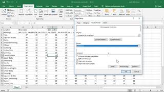 Customize Headers and Footers  Excel 2019 tutorial [upl. by Eelyab]