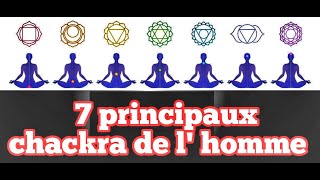 Voici une Leçon Approfondie sur Les 7 Principaux Chackra  Mini Cours  G S [upl. by Triny613]