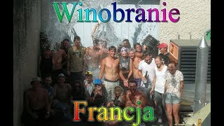 Winobranie 2018  czyli autostopem do pracy Francja [upl. by Nosredneh]