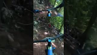 Um…this felt wild crankworx mtb gopro mtblife pivotbikes [upl. by Egdamlat]