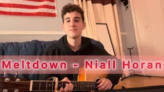 Meltdown  Niall Horan Guitar Cover [upl. by Aleda]