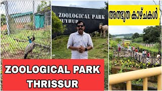 THRISSUR ZOOLOGICAL PARK ZOOLOGICAL PARK THRISSIR  Thrissur Zoological Park  Zoological Park [upl. by Annoynek650]