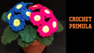 How to Crochet Primula flower [upl. by Nnylak590]