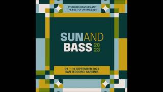 Sechi  Sun and Bass 2023 [upl. by Anelyak]