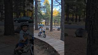 Cruising the wood features at the bike park mtb toddlers shorts [upl. by Gradeigh]