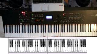 How to play SCALES and CHORDS on the PIANO Part 1 [upl. by Sirrad]