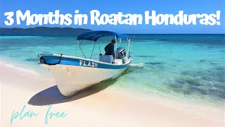 ROATAN TRAVEL HONDURAS we lived there for 3 months Travel Deeper [upl. by Davita]