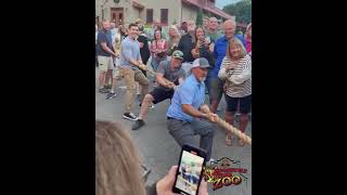 Tiger Tug of War at Roosevelt Park Zoo watch who won [upl. by Sari]