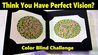 Colour Blindness Test Can You Pass This Most People Cant  Skill Test In Korea [upl. by Enilatan]