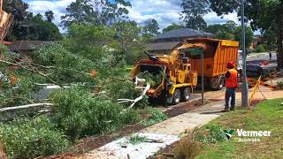 Vermeer BC2100XL wood chipper gum tree Sydney Australia [upl. by Greiner]