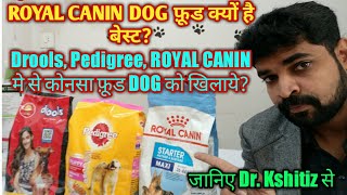 royal canin maxi starter review। royal canin dog food review। which dog food is best pedigreedrools [upl. by Aidil]