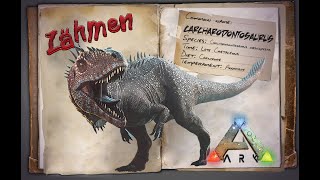 ARK Carcharodontosaurus zähmen GUIDEDeutsch  ALLE INFOS  ❗ [upl. by Moore152]