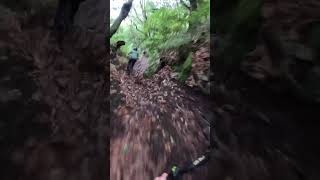 This might be the best trail in the world 🤯 [upl. by Epifano]