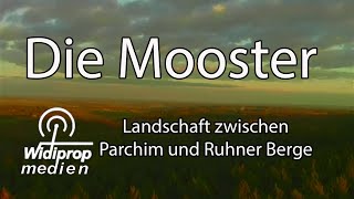 Parchimer Landschaft Die Mooster [upl. by Amery]