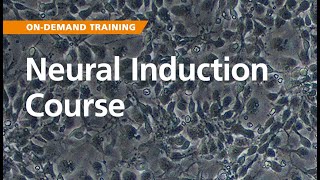 OnDemand Training Neural Induction [upl. by Acquah]