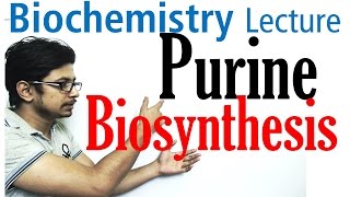 Purine biosynthesis [upl. by Gram503]