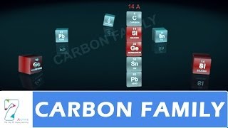 CARBON FAMILY [upl. by Av]