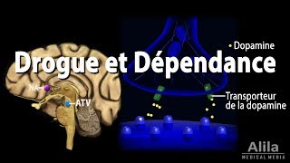 Mécanisme de Dépendance dans le Cerveau Animation [upl. by Cirdla627]