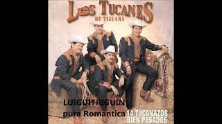 Los Tucanes De Tijuana Mix de Puras Romanticas [upl. by Swift]