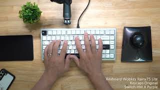 Wobkey Rainy75 Lite Typing Sound Review 打鍵音レビュー [upl. by Wakefield]