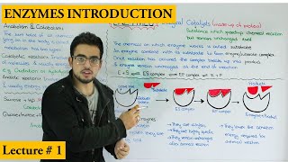 Chapter Enzymes  Enzyme introduction Metabolism and Properties of enzymes [upl. by Enneibaf]