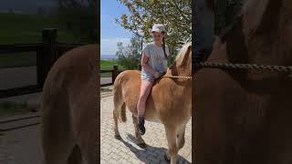 Reiten ist Sport [upl. by Fiedler]