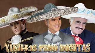 SUS MEJORES BALADAS ROMÁNTICAS DE VICENTE FERNANDEZ  ALEJANDRO FERNANDEZ Y PEDRO FERNANDEZ MIX [upl. by Martres]