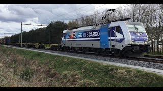 RTB Cargo 186 300 Antwerpen Anvers With Blerick Shuttle Container Train at Blerick the NL 2932024 [upl. by Neved]