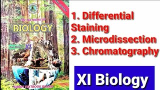 Differential Staining Microdissection Chromatography [upl. by Parlin]