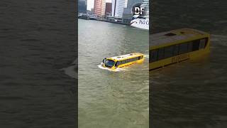 Netherland tourist attraction facts bus water shots [upl. by Trevorr513]