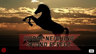 Horse Neighing Sound Effect Horse Sound Effect Neigh Sound Effect Neigh Horse Sound Effect SFX [upl. by Sears]