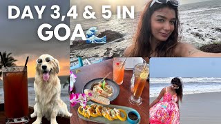 DAY 34 amp 5 IN GOA🌊🩵  South Goa amp North Goa vlog  Shreya Chugh [upl. by Beyer]