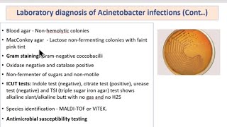 Pseudomonas Acinetobacter Burkholderia Clinical Diagnosis  Treatment  MICROBIOLOGY [upl. by Stevens]