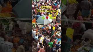 Flower market howrah howrahmedia croud shortvideo chhathpooja diwalispecial [upl. by Lednahc]