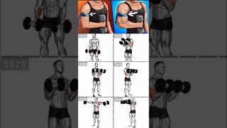 Pro arms amp shoulder cheatsheet armsworkout arms armsworkout biceps bicepsworkout gym fitness [upl. by Tiena235]