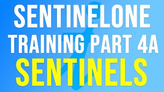 SentinelOne Training  Part 4a  SENTINELS [upl. by Attenaej]