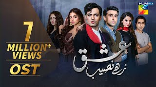 Ishq Zahe Naseeb  OST  HUM TV  Drama [upl. by Calendre]