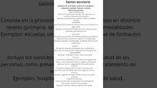 sector terciario [upl. by Pedrotti]